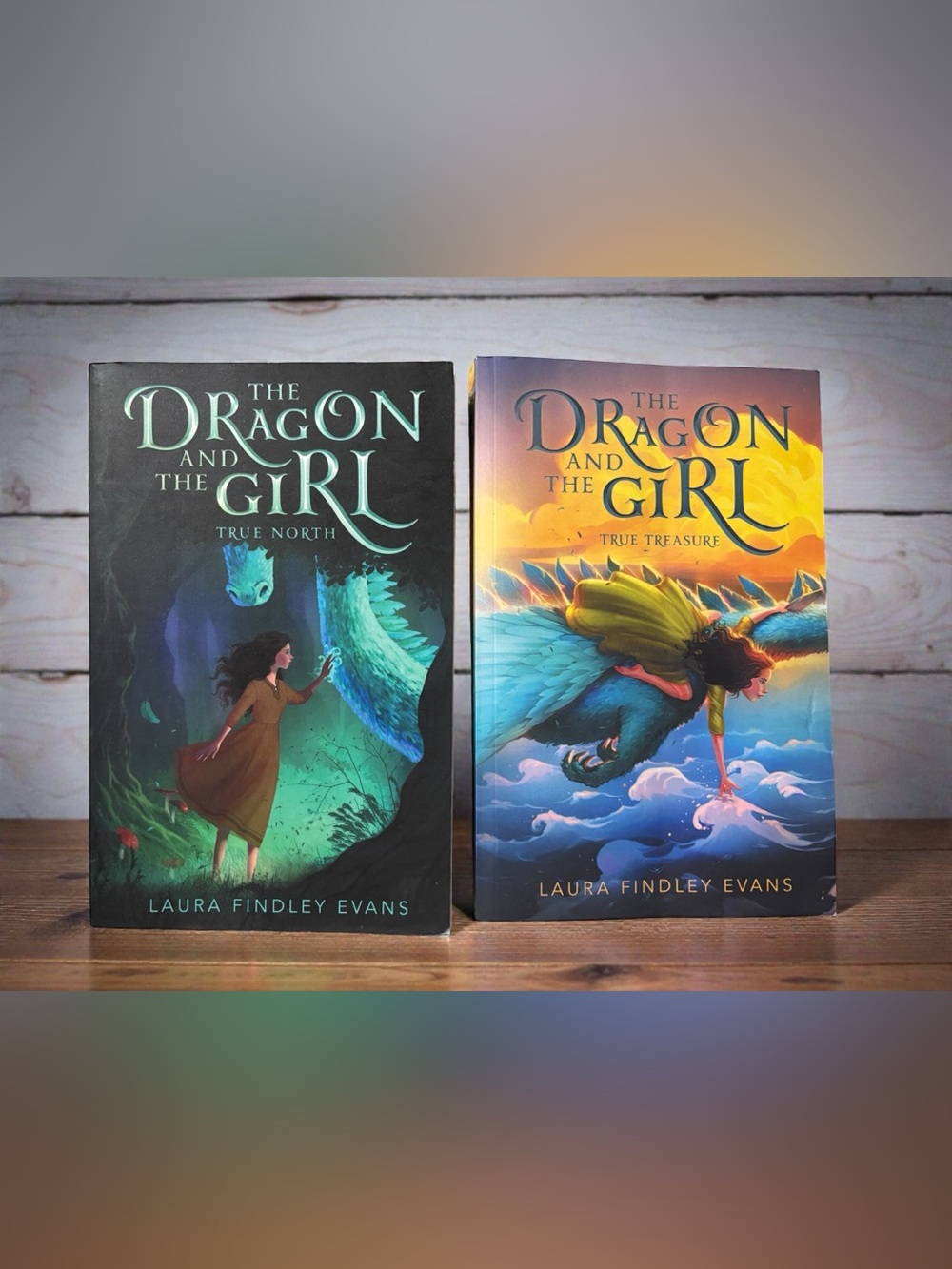 The Dragon and the Girl 2 Books-True North and True Treasure. New